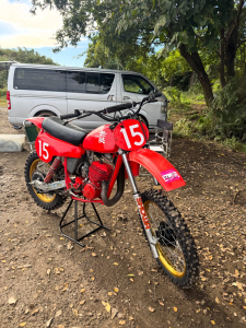 チキチキレース