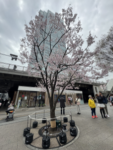 【日記】お世話になった方への感謝を伝える食事会